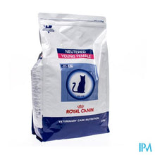 Charger l'image dans la galerie, Vcn Young Female Feline So 3,5kg
