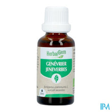 Afbeelding in Gallery-weergave laden, Herbalgem Jeneverbes Bio 30ml
