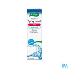 Charger l'image dans la galerie, A.Vogel Cinuforce Neusspray Forte + Menthol 20ml
