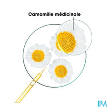 Load image into Gallery viewer, Klorane Capil. Sh Kamille 400ml
