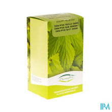 Charger l'image dans la galerie, Eucalyptusblad Gesneden Doos 250g Fag
