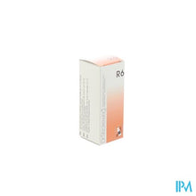 Load image into Gallery viewer, Reckeweg Dr. R 6 Gutt 50ml

