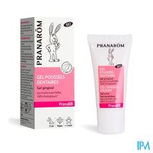 Charger l'image dans la galerie, Pranarom Pranabb Bio Gel Tandgroei Pompfl 15ml
