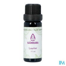 Afbeelding in Gallery-weergave laden, Sjankara Laurier Ess. Olie 11ml
