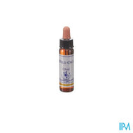 Heilkräuter Wilder Hafer 10ml