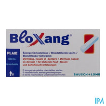 Afbeelding in Gallery-weergave laden, Bloxang Spons 4,0 X 1,0 X 1,0cm 5
