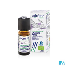 Afbeelding in Gallery-weergave laden, Ladrome Lavandula Latifolia/spijklavendel 10ml
