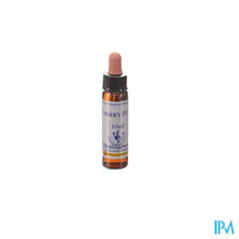 Afbeelding in Gallery-weergave laden, Healing Herbs Cherry Plum 10ml
