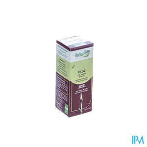 Herbalgem Wijnstok Maceraat 50ml