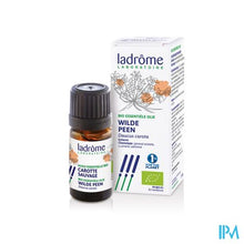 Afbeelding in Gallery-weergave laden, Ladrome Daucus Carota/wilde Peen 5ml
