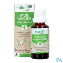 Afbeelding in Gallery-weergave laden, Herbalgem Wilde Wingerd Bio 30ml

