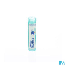 Charger l'image dans la galerie, Arnica Montana 30k Gr 4g Boiron
