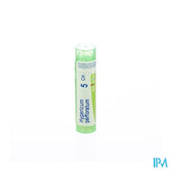 Hypericum Perforatum 5ch Gr 4g Boiron