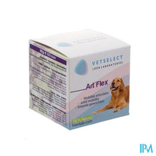 Afbeelding in Gallery-weergave laden, Vetselect Art-flex 100g
