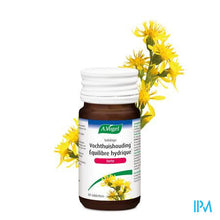 Load image into Gallery viewer, A.Vogel Solidago forte 60 tabletten
