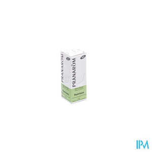 Ravintsara Bio Ess Olie 10ml Pranarom