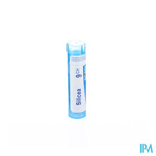 Charger l'image dans la galerie, Silicea 9ch Gr 4g Boiron
