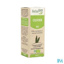 Afbeelding in Gallery-weergave laden, Herbalgem Olijfboom Maceraat 15ml
