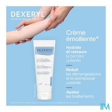 Load image into Gallery viewer, Dexeryl Creme Tube 250g
