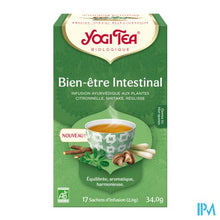 Afbeelding in Gallery-weergave laden, Yogi Thee Natural Balance Bio Sach 17
