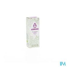 Afbeelding in Gallery-weergave laden, Sjankara Eucalyptus Radiata Bio Ess Olie 11ml
