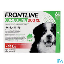 Load image into Gallery viewer, Frontline Combo Line Dog Xl >40kg 6x4,02ml
