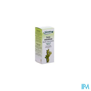 Blaaswier Tinct 50ml Biov