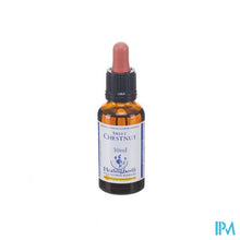 Charger l'image dans la galerie, Healing Herbs Sweet Chestnut 30ml
