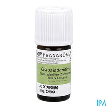 Afbeelding in Gallery-weergave laden, Pranarom Eo Zonneroosje Takje Bio 5ml
