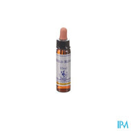 Healing Herbs Wild Rose 10ml