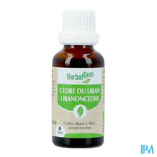 Afbeelding in Gallery-weergave laden, Herbalgem Ceder Bio 30ml
