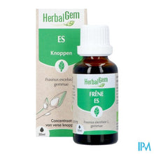 Load image into Gallery viewer, Herbalgem Es Bio 30ml
