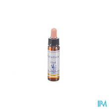 Charger l'image dans la galerie, Healing Herbs Gentian 10ml

