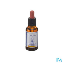 Afbeelding in Gallery-weergave laden, Healing Herbs Cerato 30ml
