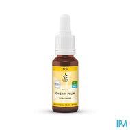Bachbloesem Bio N06 Cherry Plum 20ml