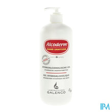 Afbeelding in Gallery-weergave laden, Alcoderm Gel 600ml Nf

