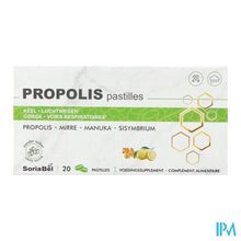 Load image into Gallery viewer, Soria Propolis Past 20
