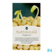 Charger l'image dans la galerie, Nattokinase Nsk-sd Caps 60x100mg
