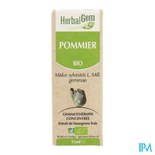 Charger l'image dans la galerie, Herbalgem Appelboom Maceraat 15ml
