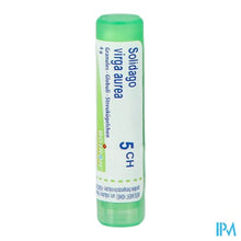 Afbeelding in Gallery-weergave laden, Solidago Virgaurea 5ch Gr 4g Boiron
