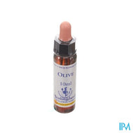 Healing Herbs Olive 10ml