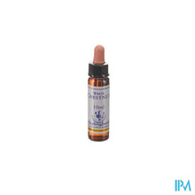 Charger l'image dans la galerie, Healing Herbs White Chestnut 10ml
