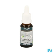 Afbeelding in Gallery-weergave laden, Bachbloesem Bio N47 Druppels Slaap 20ml

