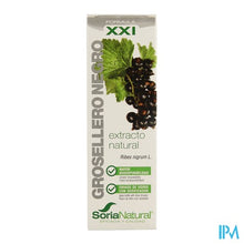 Charger l'image dans la galerie, Soria Ribes Nigrum Xxi Extr.fl. 50ml
