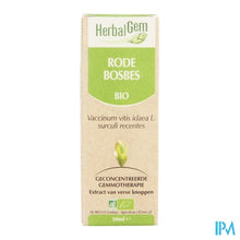 Charger l'image dans la galerie, Herbalgem Rode Bosbes Maceraat 50ml
