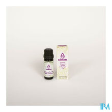 Charger l'image dans la galerie, Sjankara Spaanse Oregano Ess. Olie 11ml
