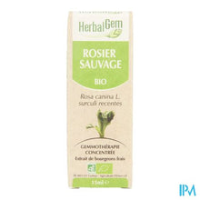 Charger l'image dans la galerie, Herbalgem Hondsroos Maceraat 15ml
