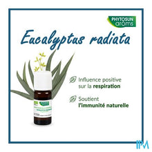 Charger l'image dans la galerie, Phytosun Euc. Radiata Fr-bio-01 10ml
