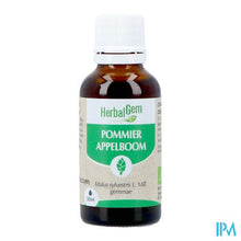 Afbeelding in Gallery-weergave laden, Herbalgem Appelboom Bio 30ml

