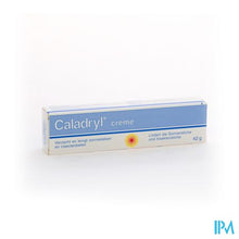 Load image into Gallery viewer, Caladryl Creme 42g
